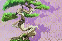 brazilian_conifer_web