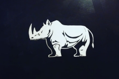 The Rhino and the Dancer